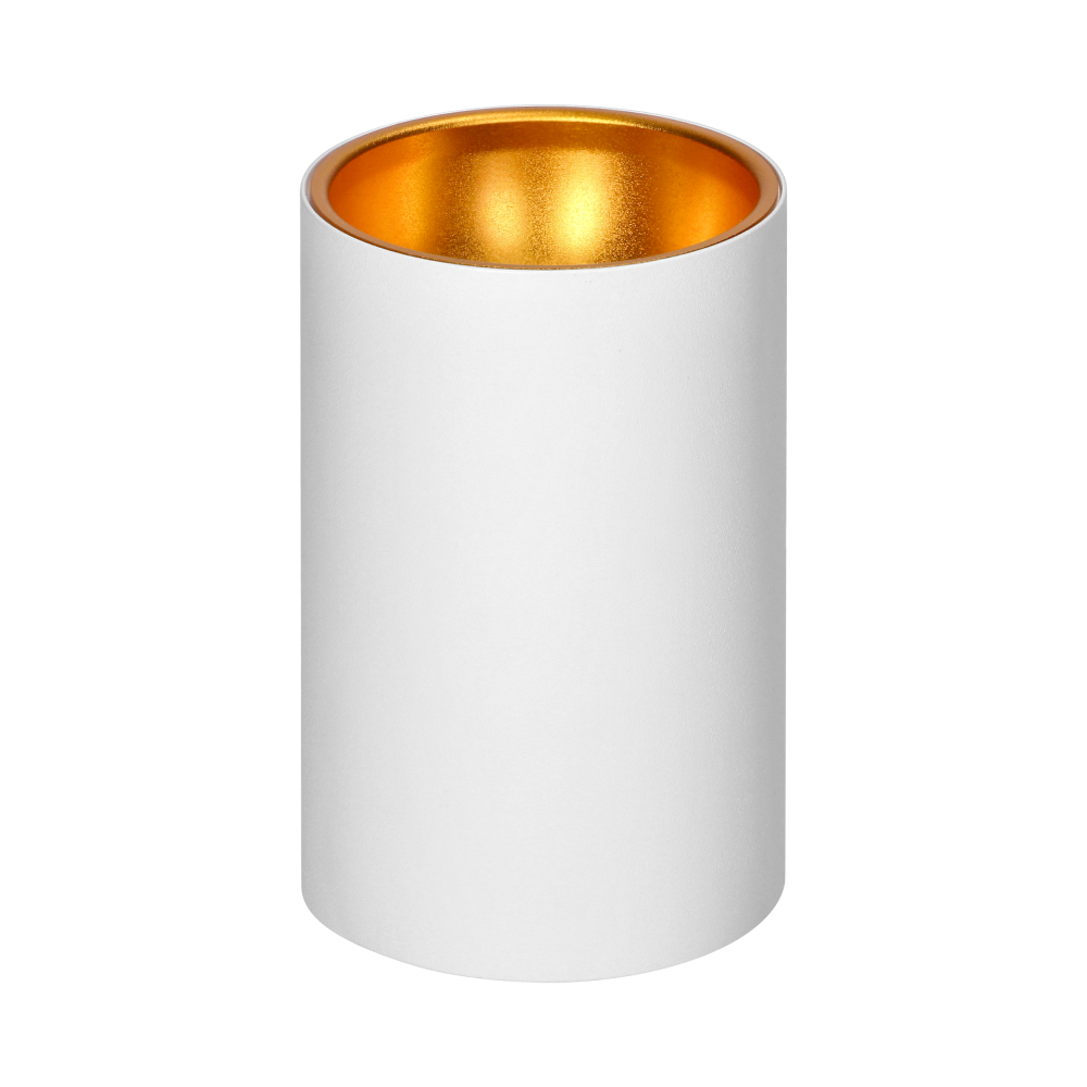 ELIZA, surface-mounted downlight, GU10, IP20, aluminium, white-gold