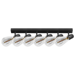 RIO SP 6, wall and ceiling light, E27 max. 6x60W, IP20, black