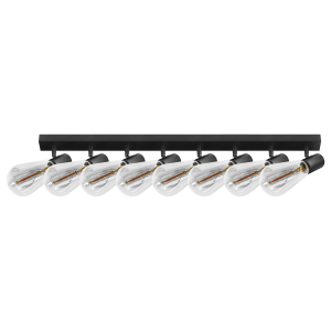 RIO SP 8, wall and ceiling light, E27 max. 8x60W, IP20, black