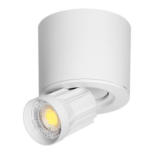 HEMERA LED Downlight 2-in-1,7 W, 650 lm, 3000/4000/6500 K, white