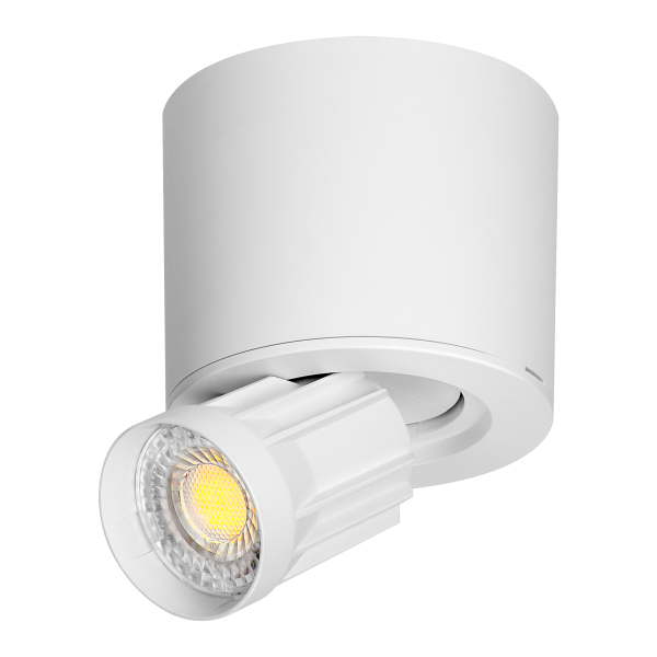 HEMERA LED Downlight 2w1, 7 W, 650 lm, 3000/4000/6500 K, biała