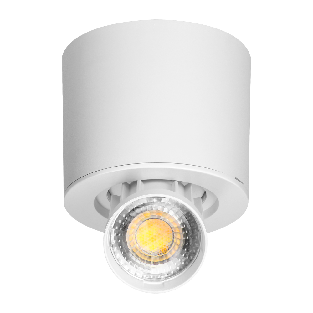 HEMERA LED Downlight 2-in-1,7 W, 650 lm, 3000/4000/6500 K, white