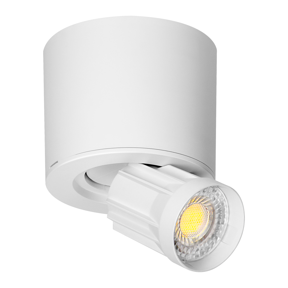 HEMERA LED Downlight 2w1, 7 W, 650 lm, 3000/4000/6500 K, biała