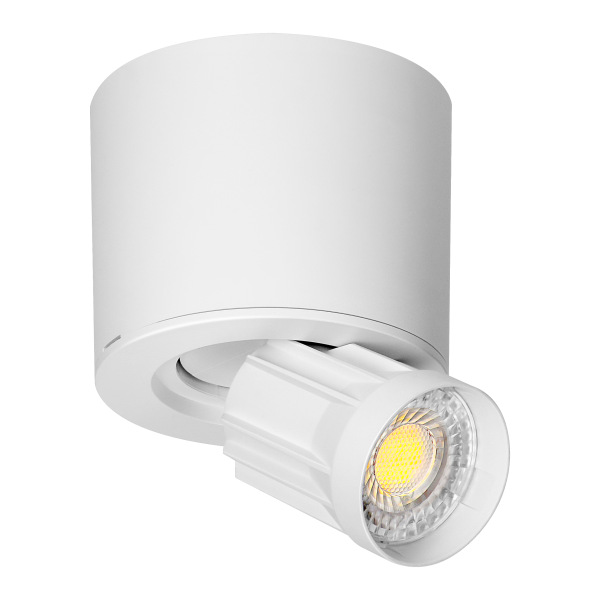 HEMERA LED Downlight 2w1, 7 W, 650 lm, 3000/4000/6500 K, biała