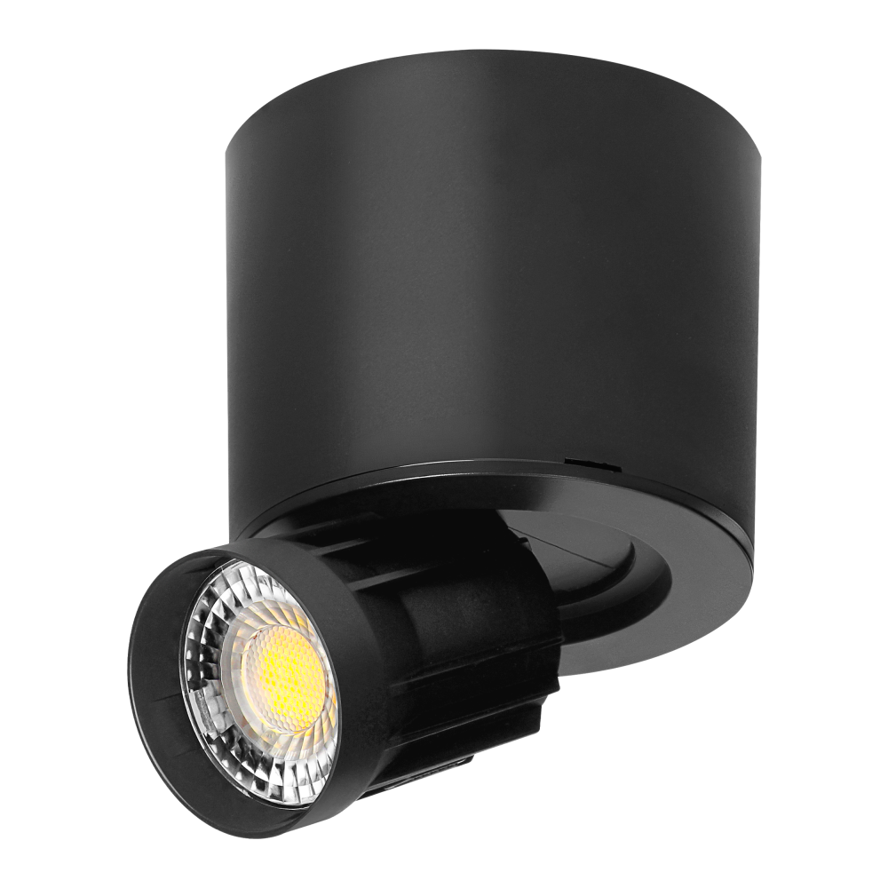 HEMERA LED Downlight 2w1, 7 W, 650 lm, 3000/4000/6500 K, czarna